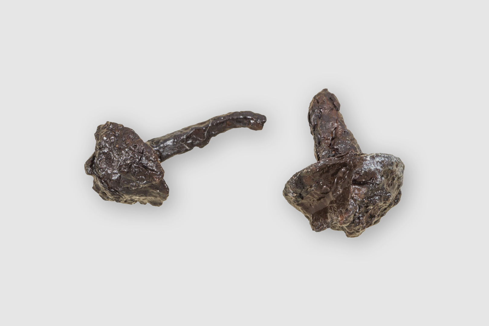 Borchiette da calzatura in ferro