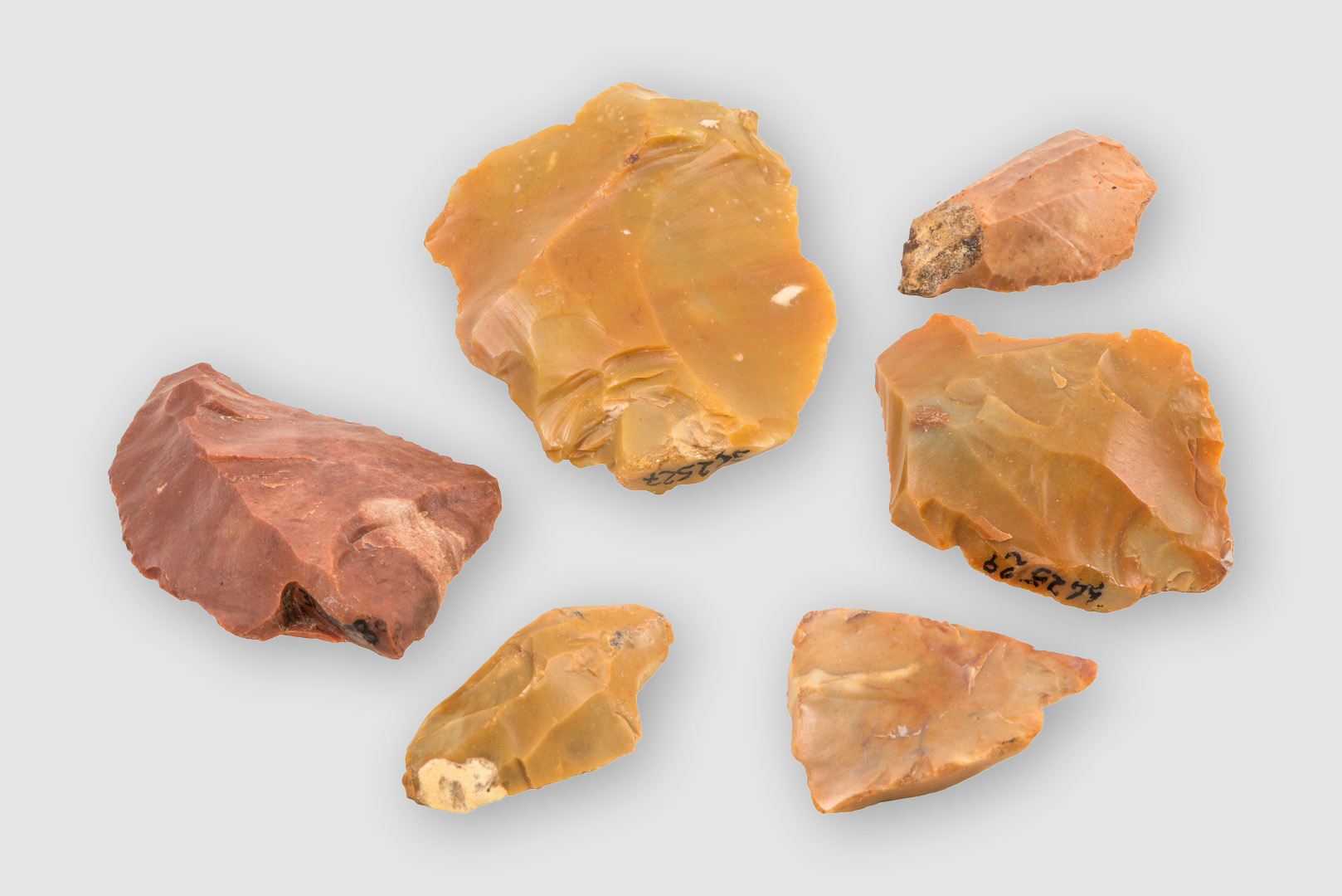 Strumenti in selce bionda e marrone di età Neolitica (6000 a.C.-3000 a.C. ca.)