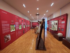 Immagine della sala La casa