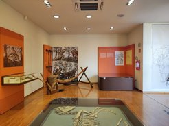 Immagine della sala L'agricoltura e l'allevamento